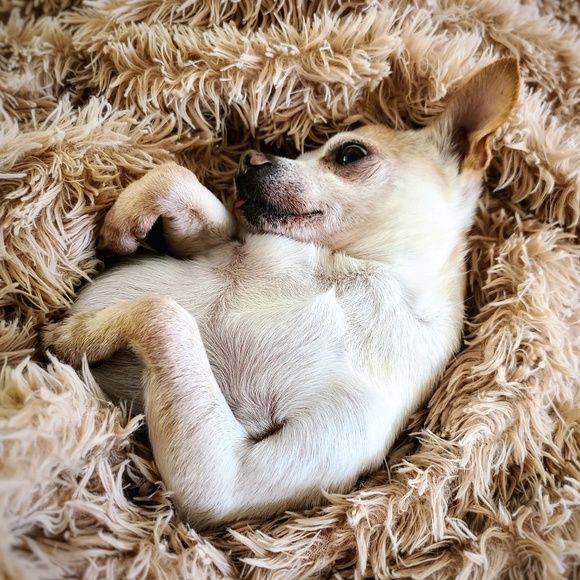 Meet your Posher, Christiane - Picture 1 of 1